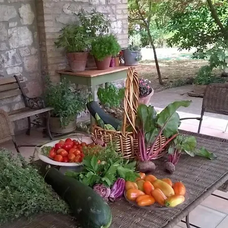 Gasthuis Rugiada Rivotorto