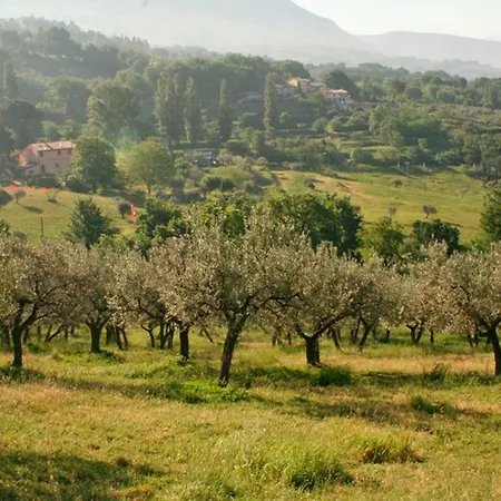 Rugiada Guest house 3*