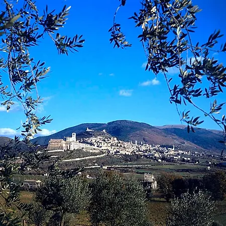 Rugiada Πανσιόν Rivotorto