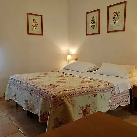 Rugiada Rivotorto