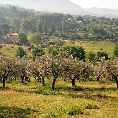 Πανσιόν Rugiada