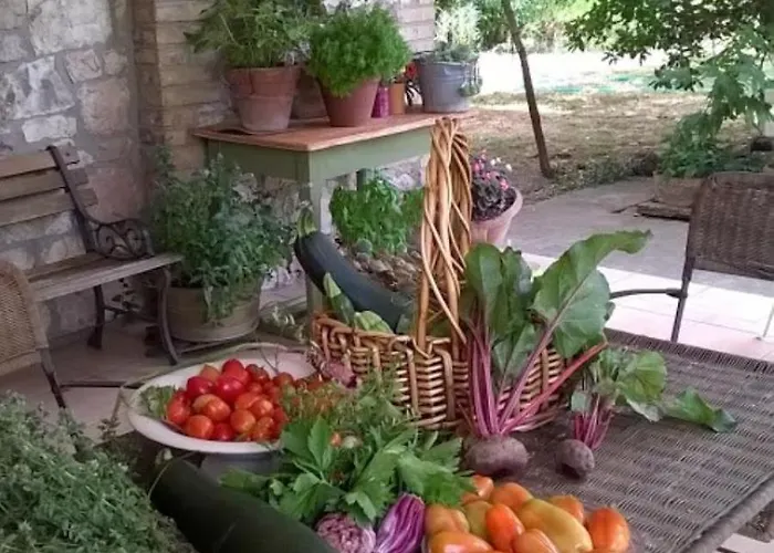 Pensionat Rugiada Rivotorto