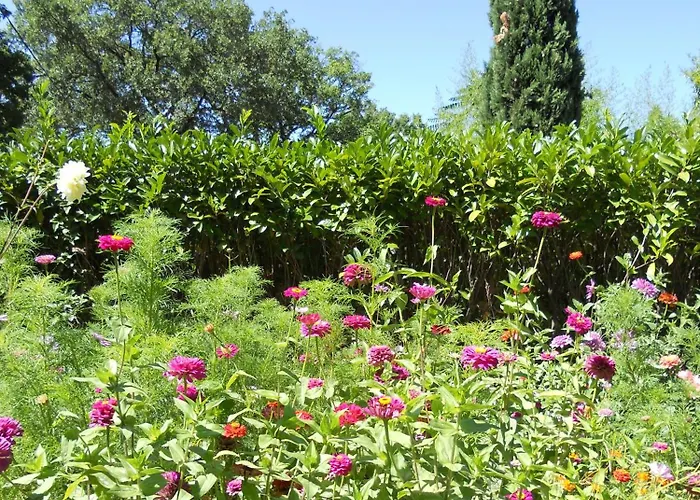 Rugiada Pensionat 3*